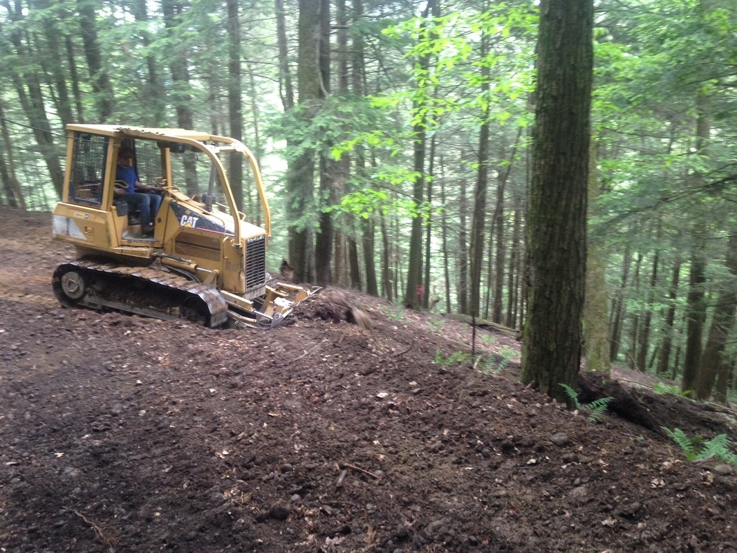 CAT bulldozer clearing hillside terrain for forestry road