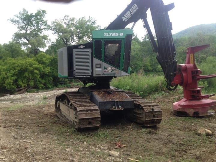 Arbor Elan feller buncher harvesting timber in forest