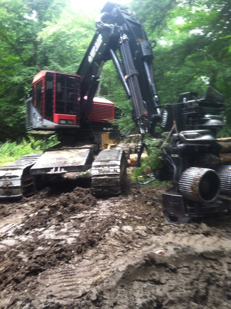 Professional excavator equipment used for forestry operations
