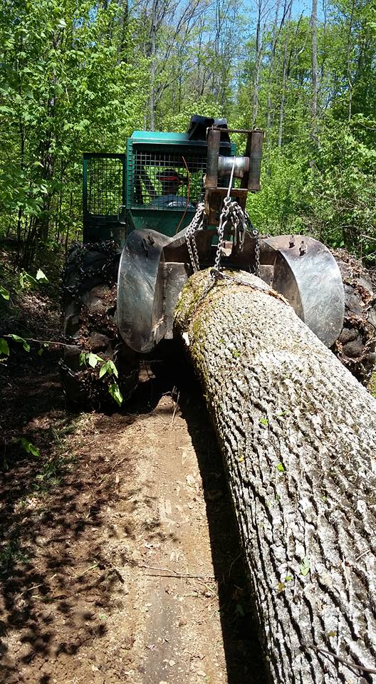 Close-up of forestry grapple securing large diameter log