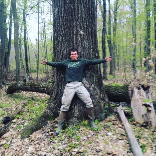Professional forester inspecting forest stand